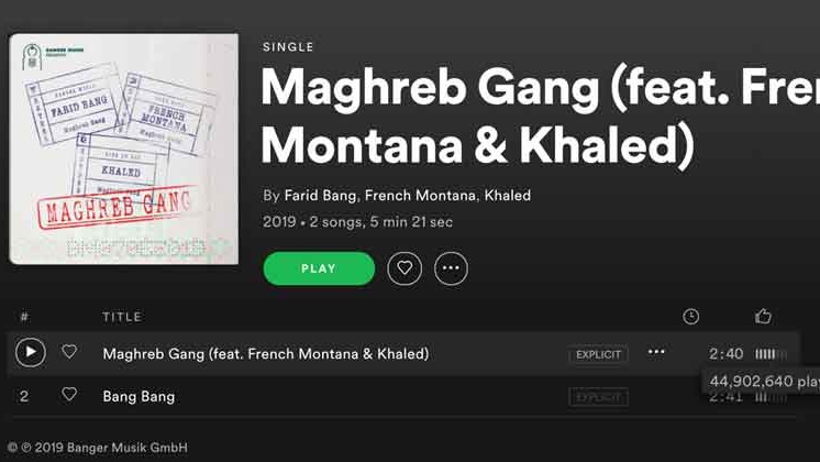 Spotify Playlist Promotion