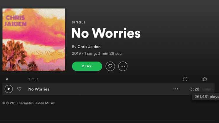 Spotify Music Promotion