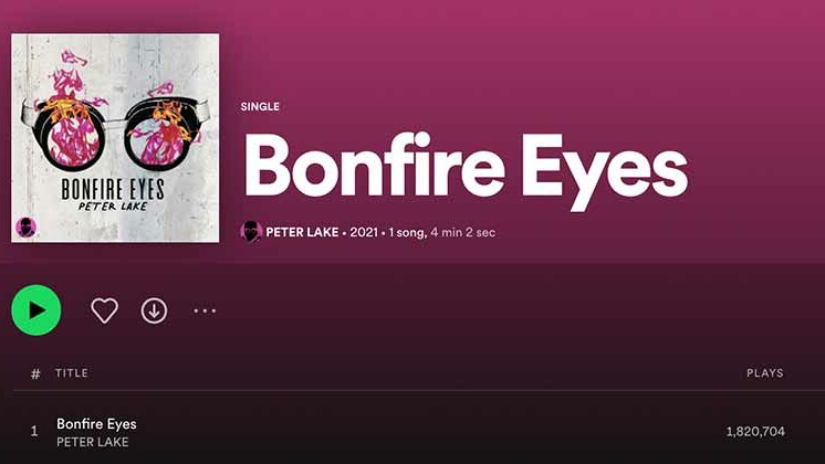 Real Spotify Promotion