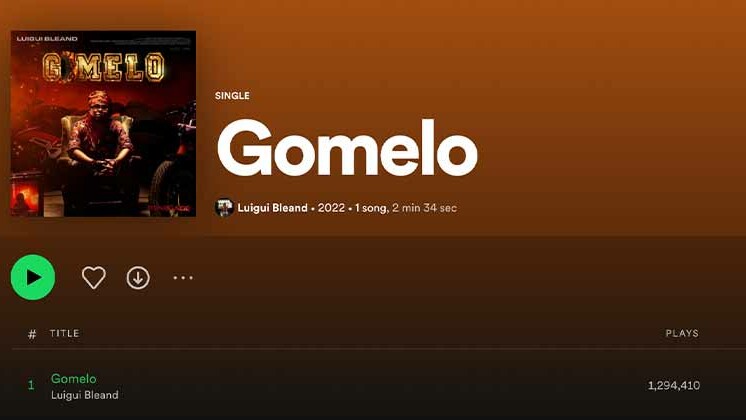 Organic Spotify Promotion